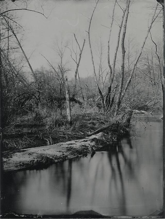 Creek In Spring III