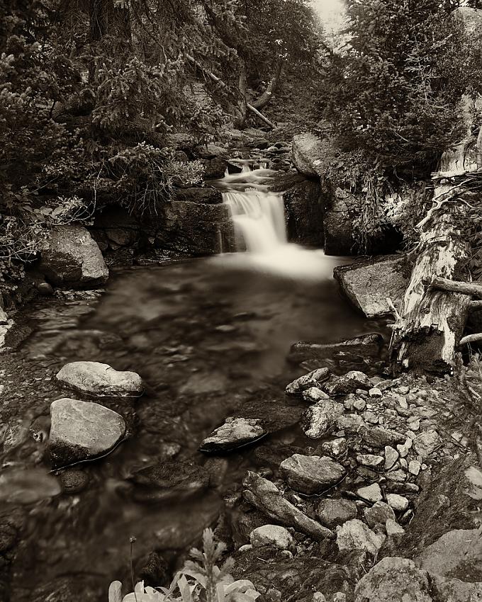 Creek, Old Fall River Road