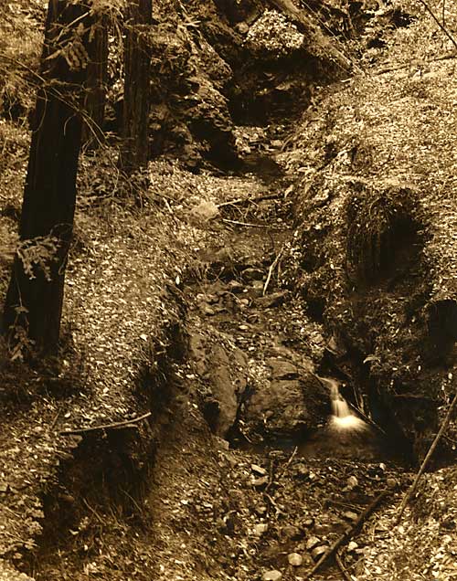 Creek, Pfeiffer State Park, CA