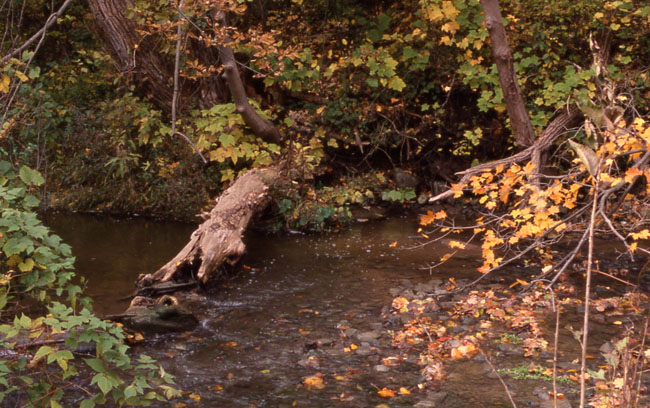 Creek