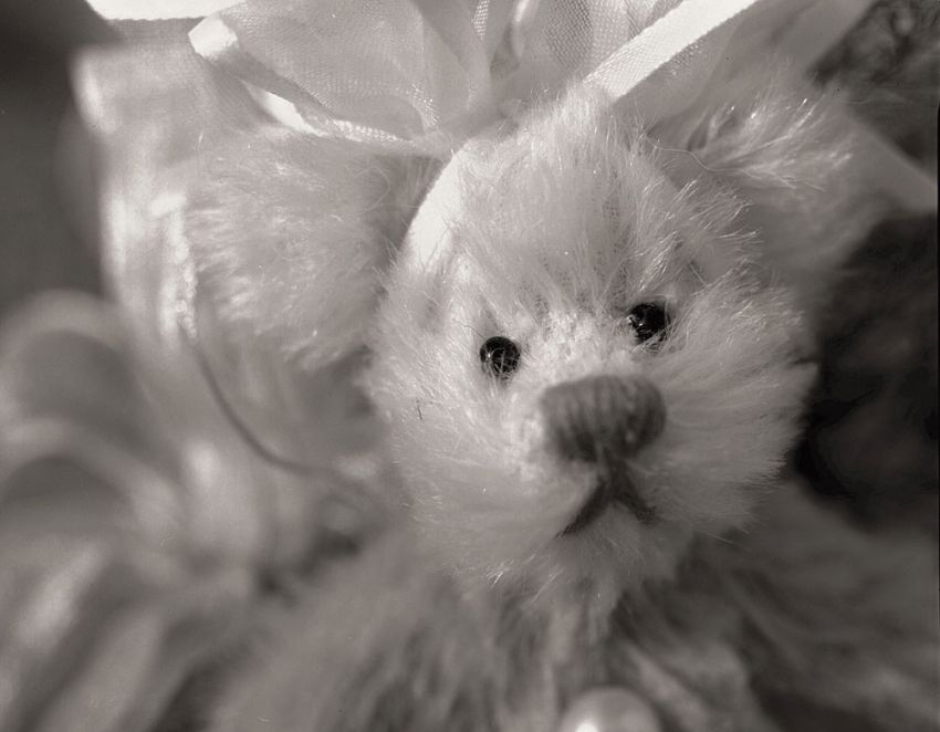 Creepy Bear...