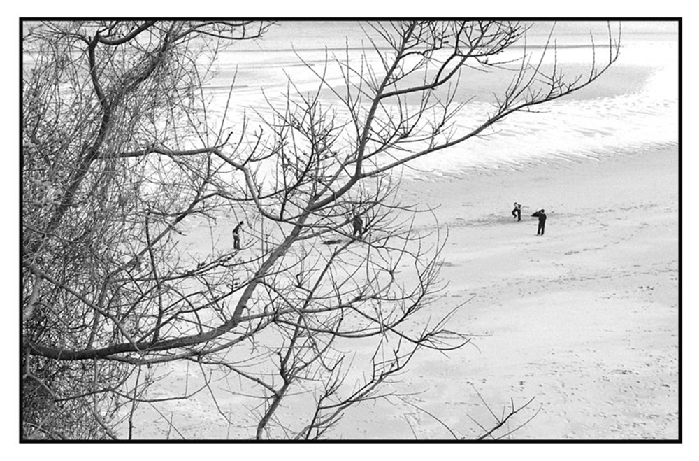 Cricket on the beach