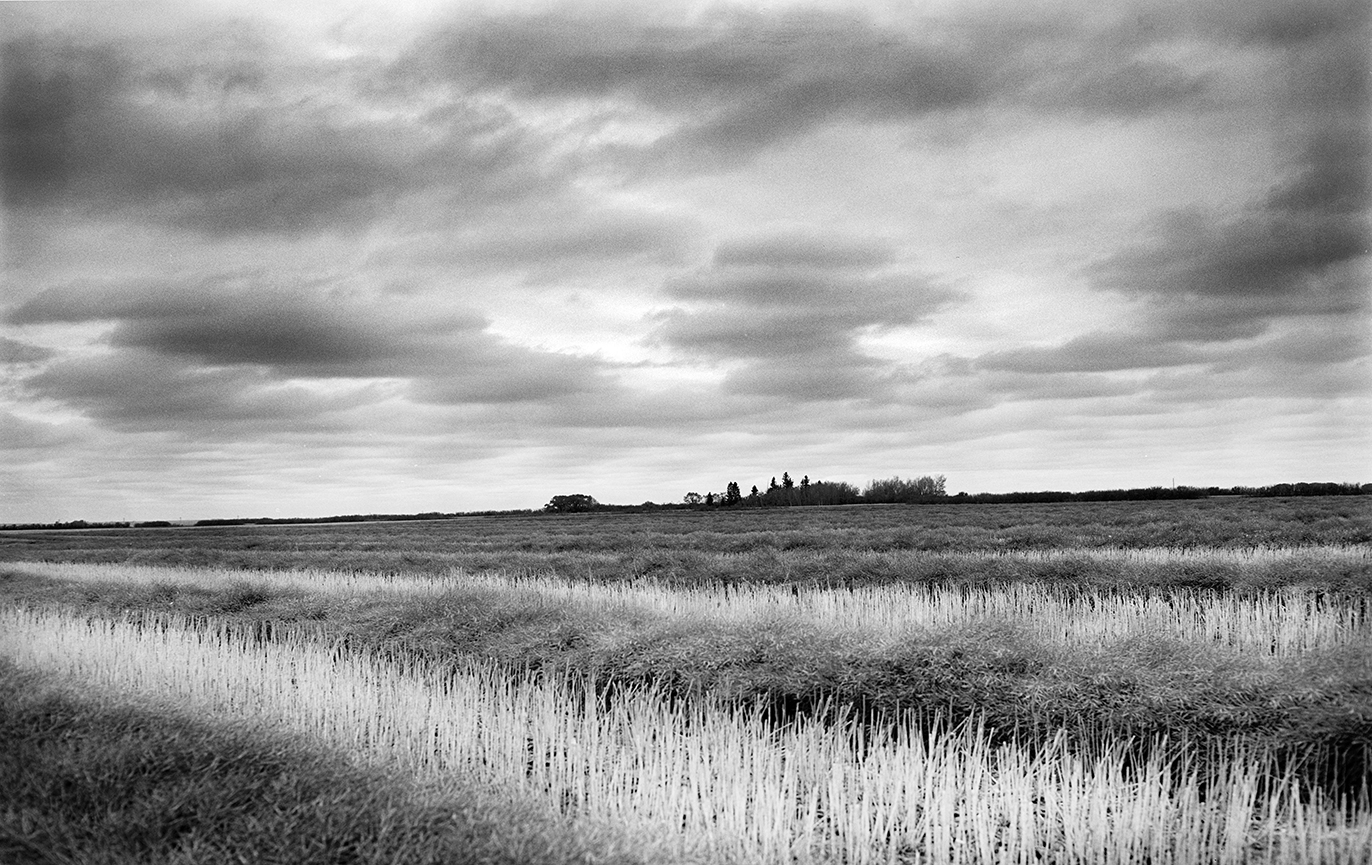 Crop still not off!