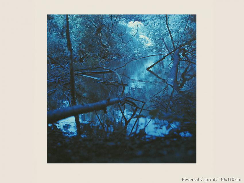 Cross-process