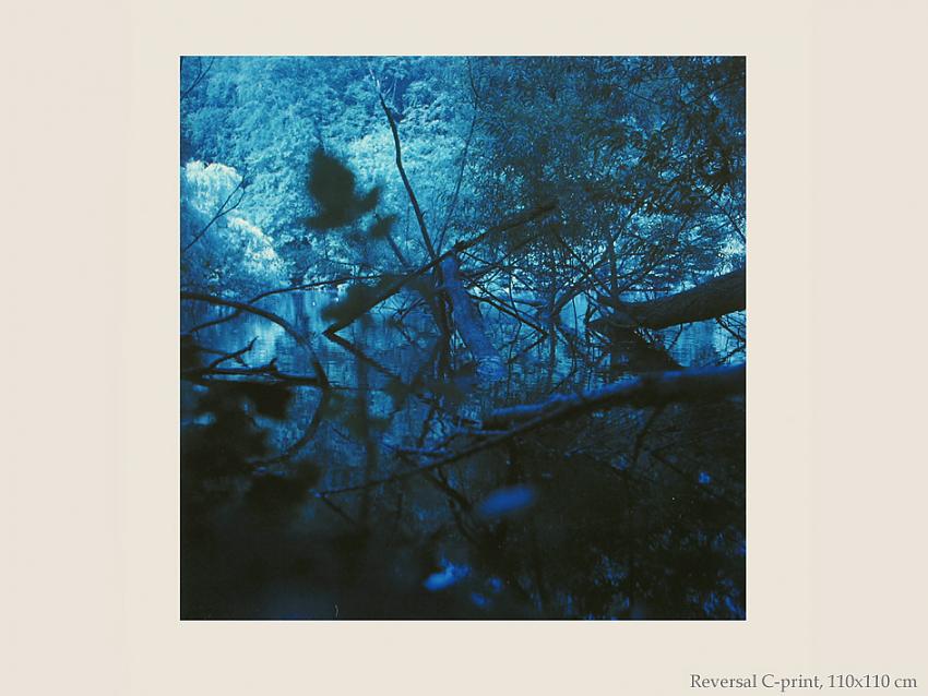 Cross-process