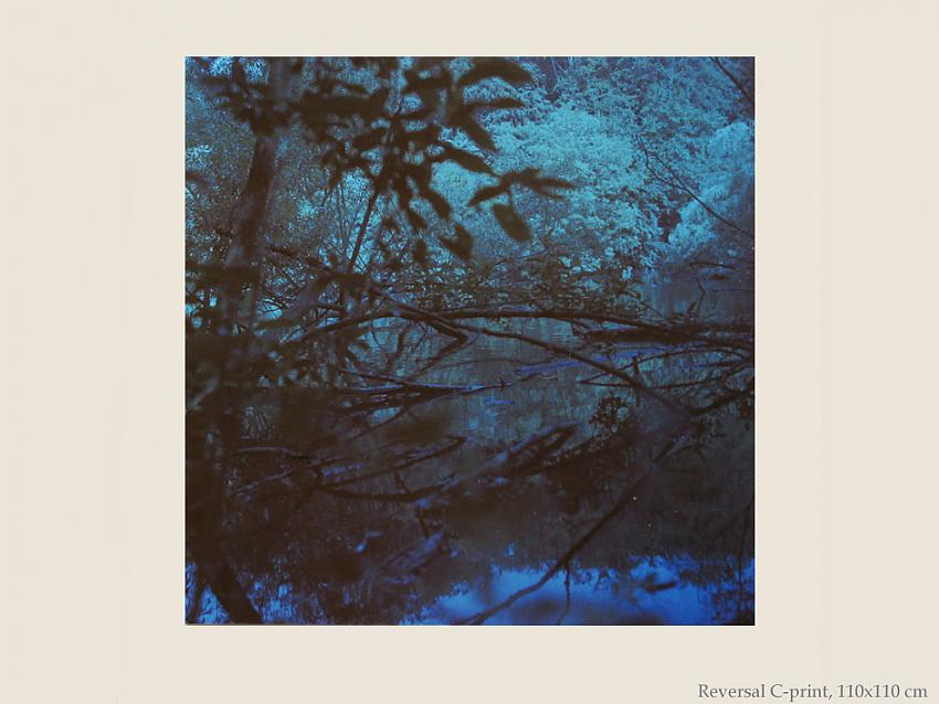 Cross-Process