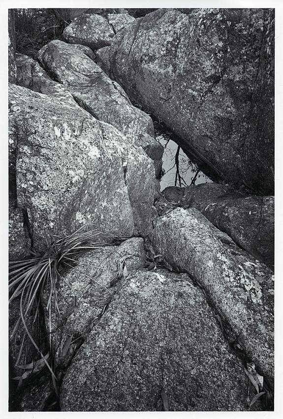 Crow's Nest National Park