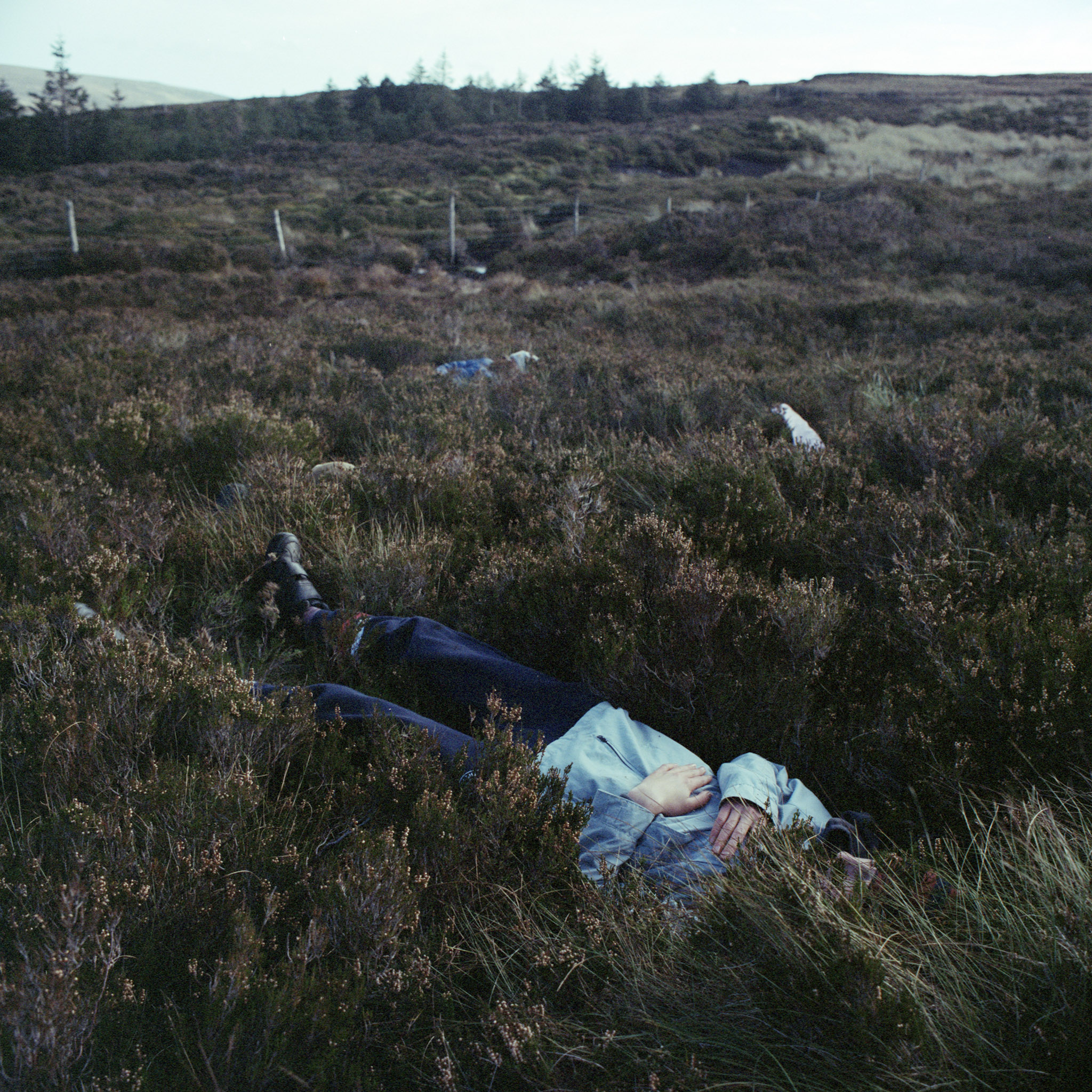 Cruagh