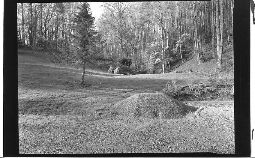 Crushed rock and trees
