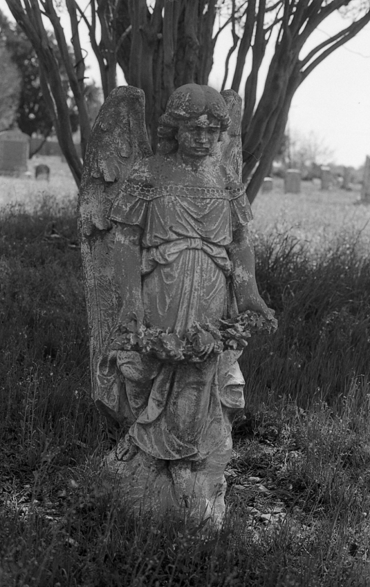 Crying Angel
