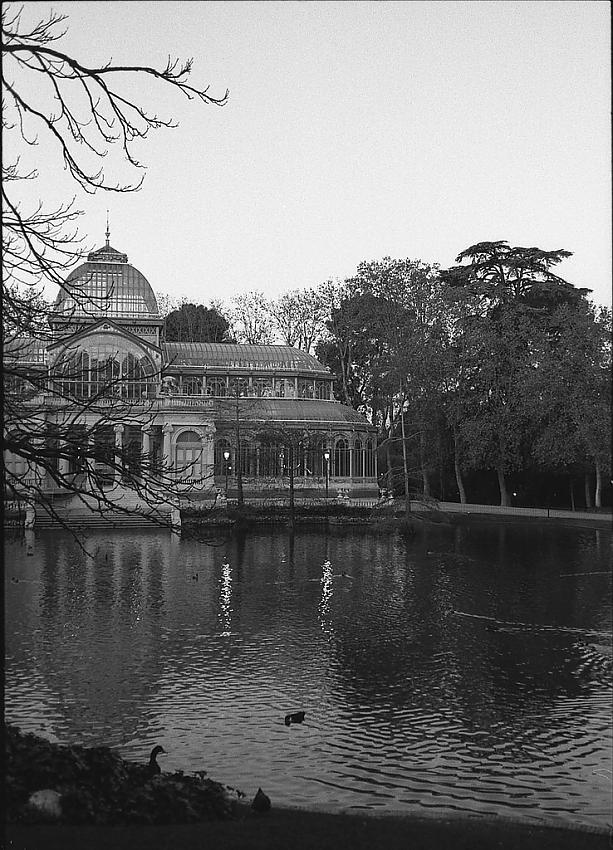 Crystal Palace