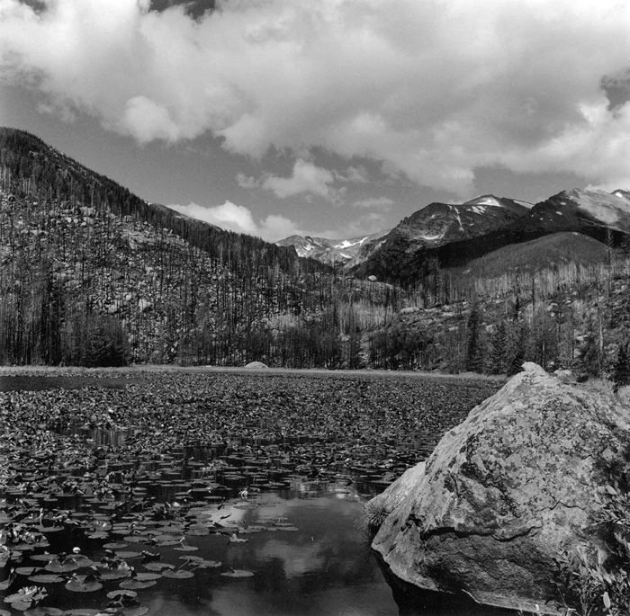 Cub Lake, RMNP