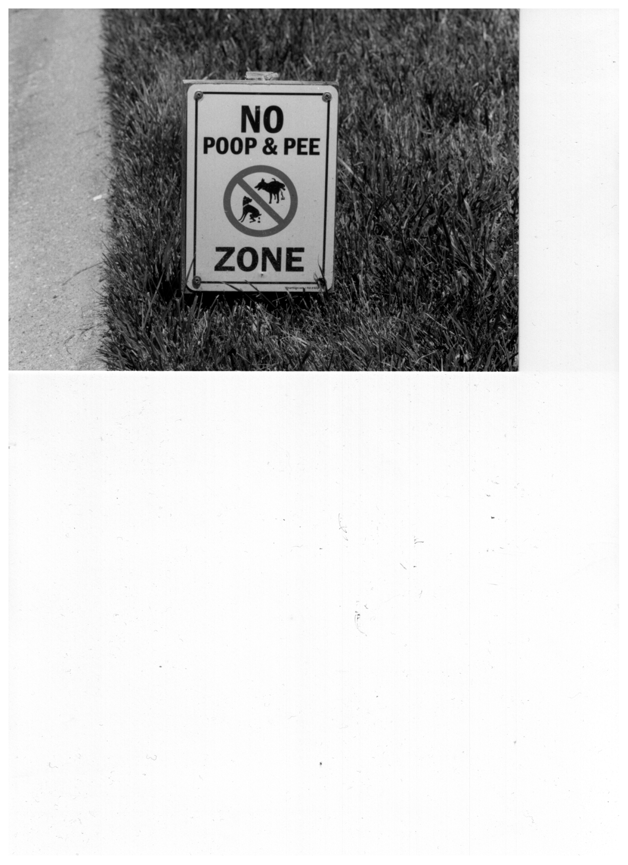 Curbside Injunction