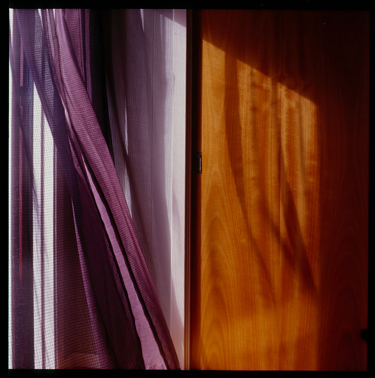Curtain
