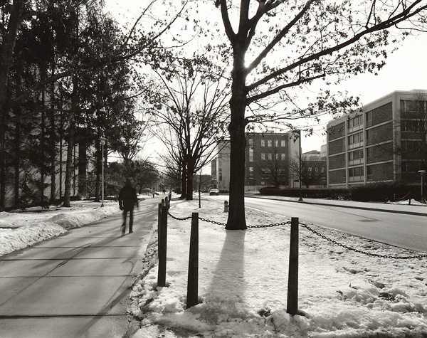 Curtin Rd.