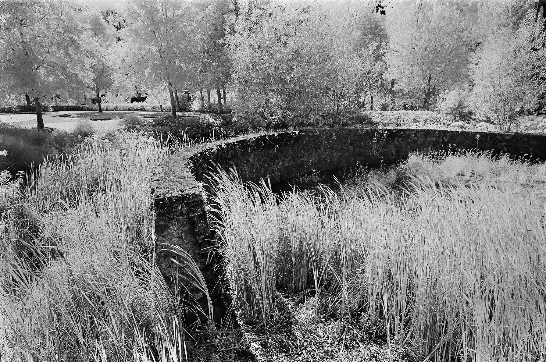 Curved Wall