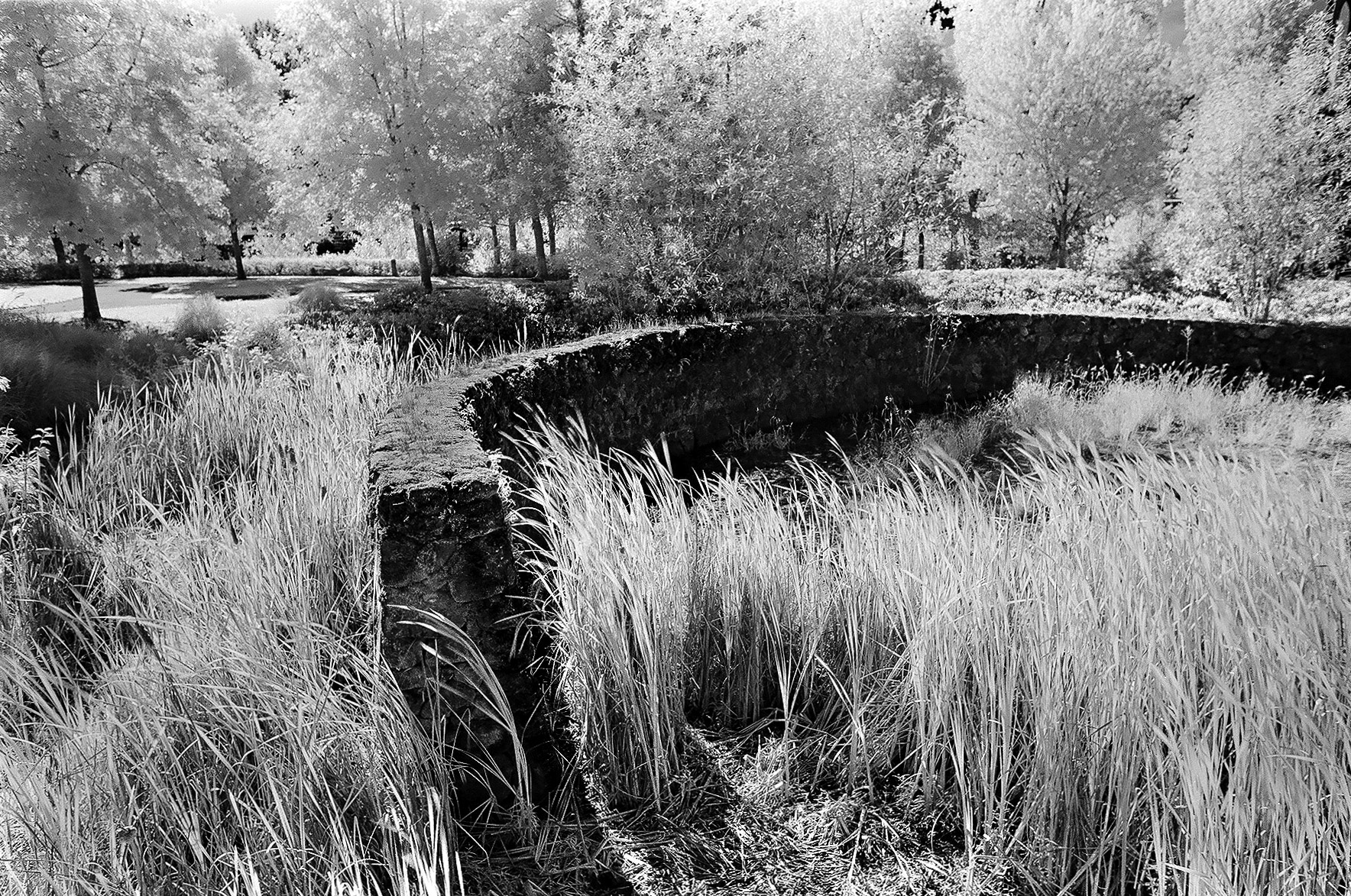 Curved Wall