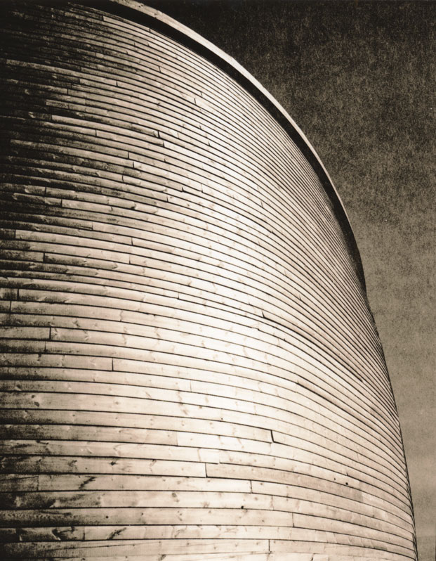 Curves in the Ark