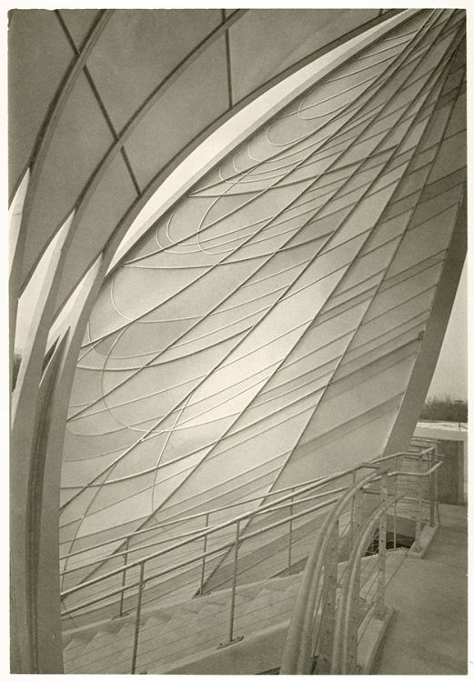 Curves on Cykora
