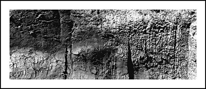 CUT FACE OF BOG