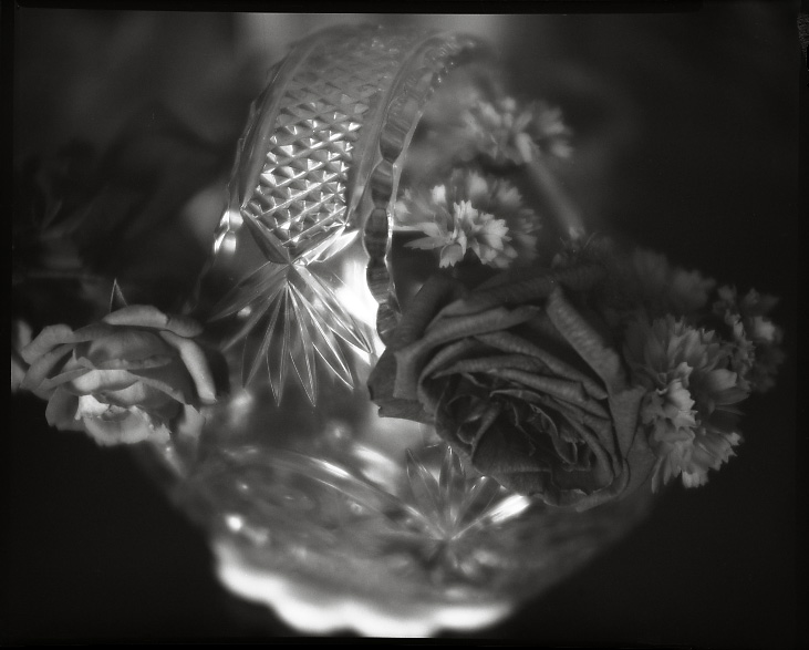cut flowers, cut glass