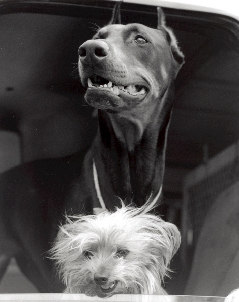 Cute couple