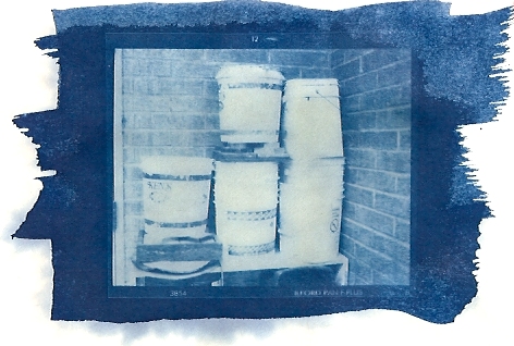 cyanotype 2