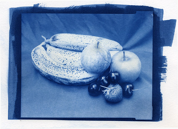Cyanotype fruit