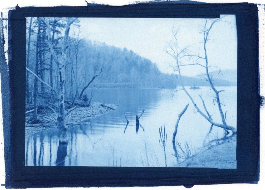 Cyanotype March-12-16 Watauga Point (8B)
