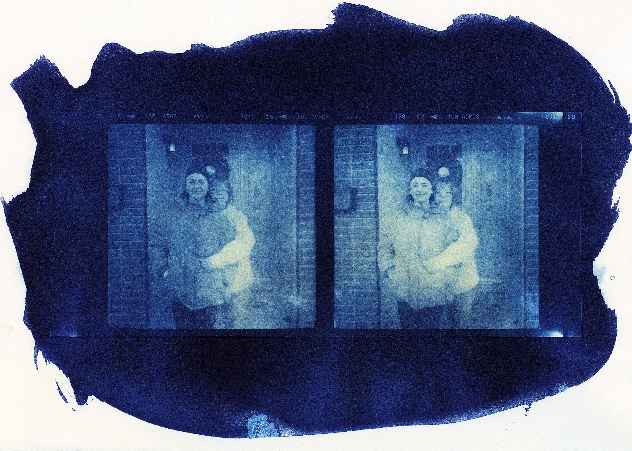 Cyanotype stereo card
