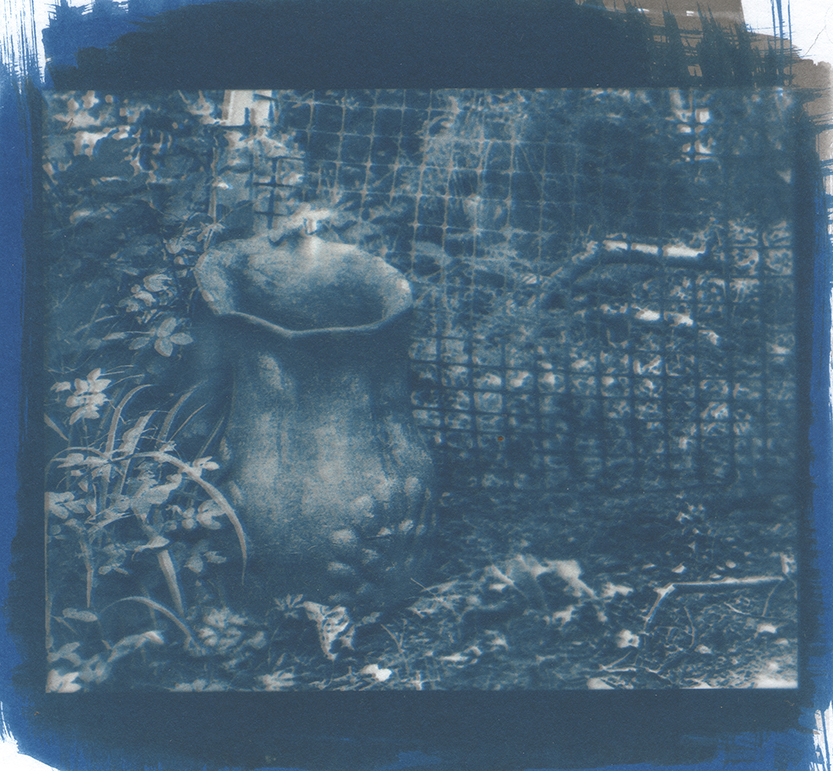 cyanotype toned Palladium vase print