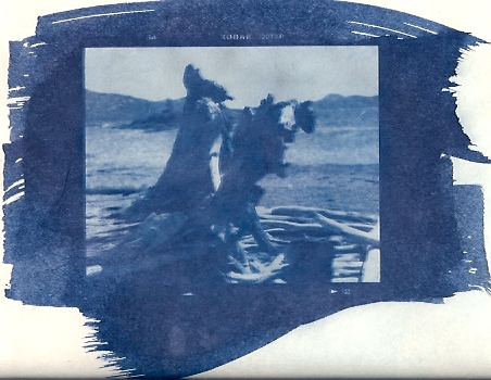 Cyanotype