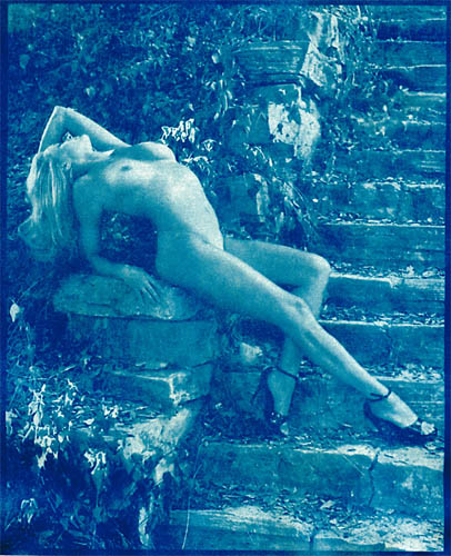 Cyanotype_01