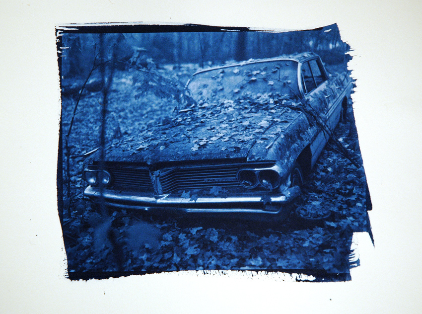 Cyanotypes