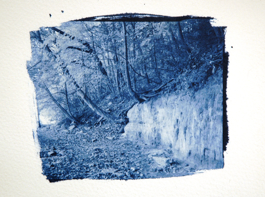 Cyanotypes