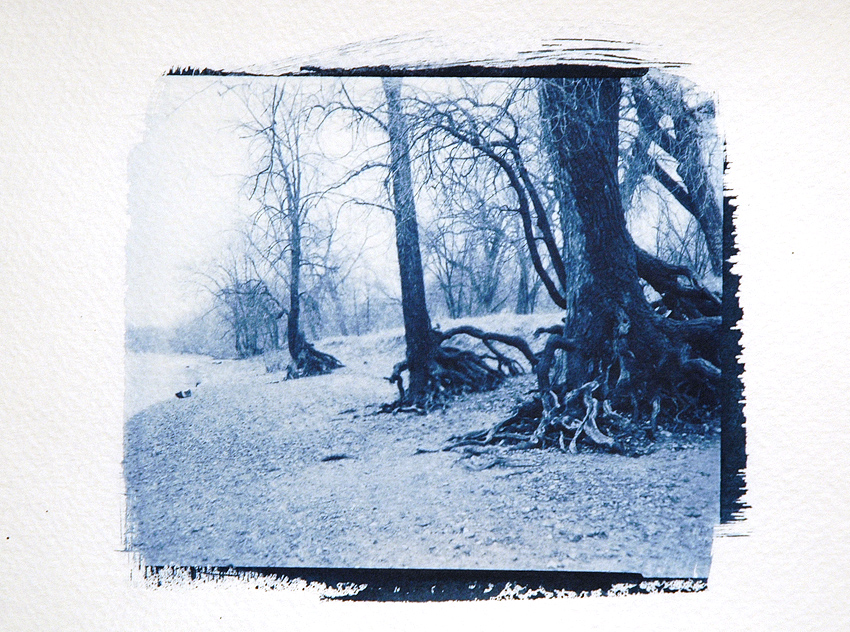 Cyanotypes