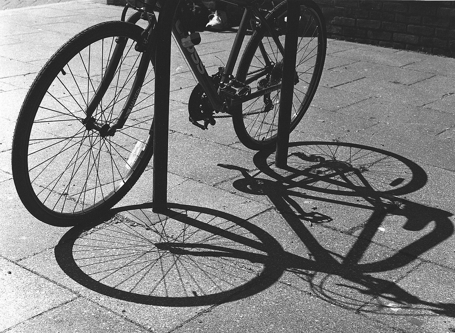Cycle Shadows