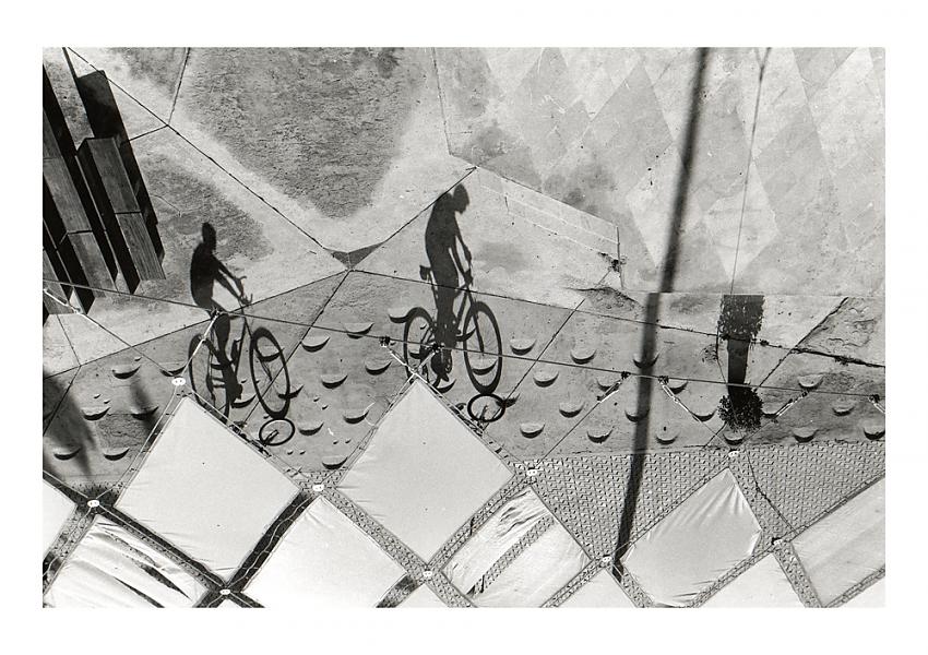 Cyclists - Palma Cathedral