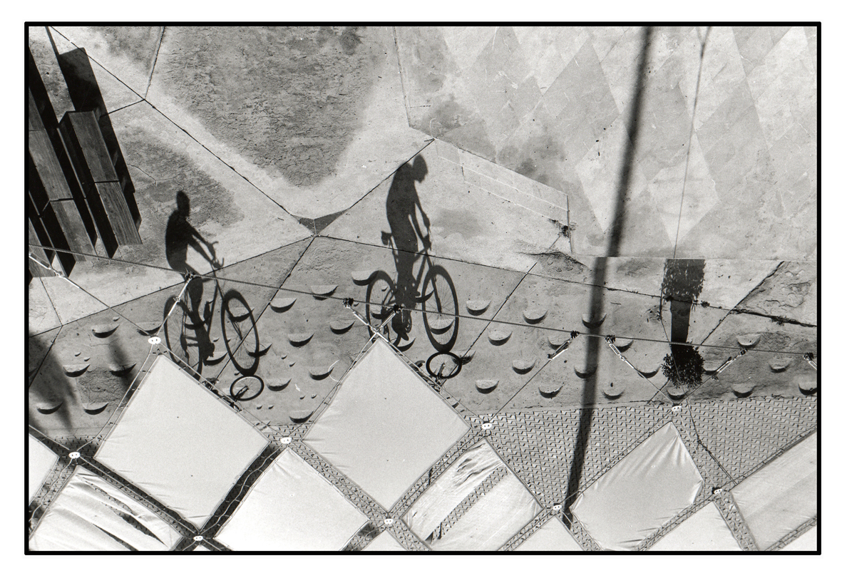 Cyclists - Palma Cathedral