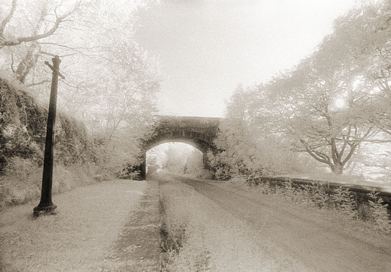 Cynonvelle Halt railway station