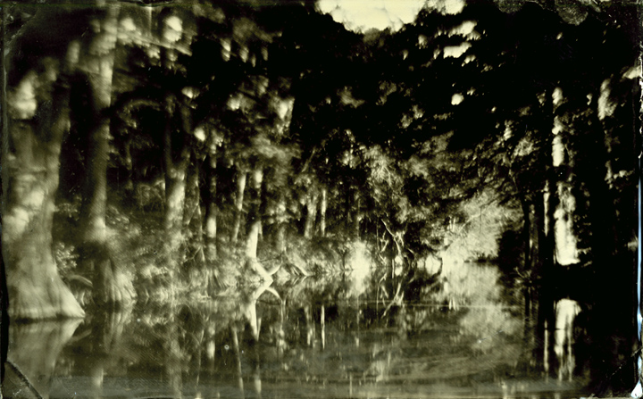 Cypress and River
