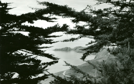 Cypress View