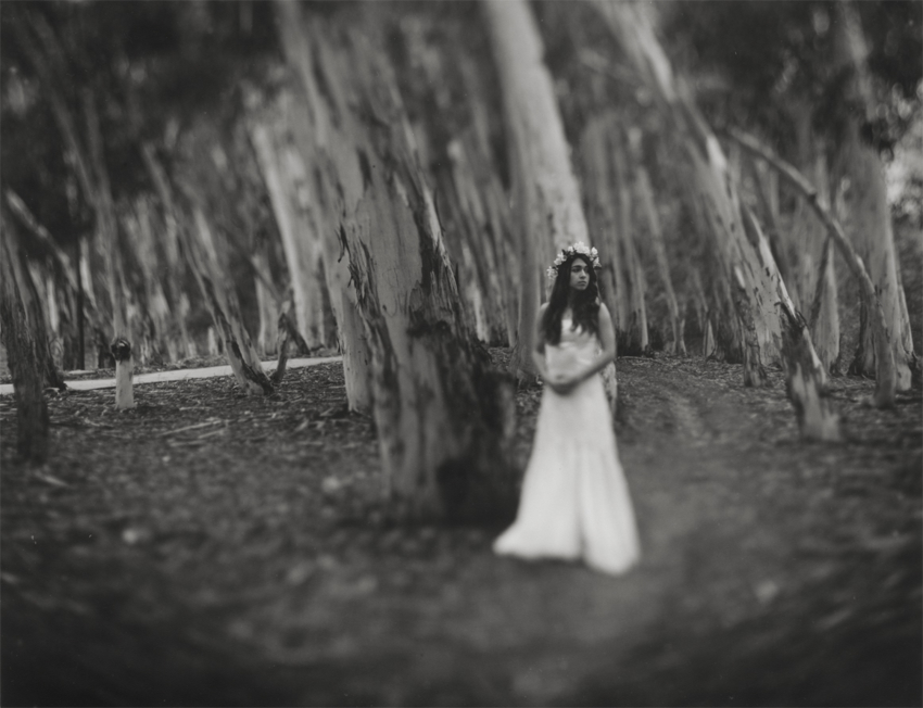 Czarina's Apparition
