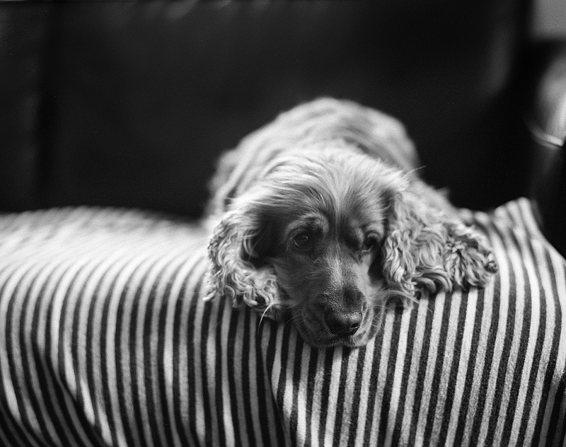 Daddy's Girl (Again!)