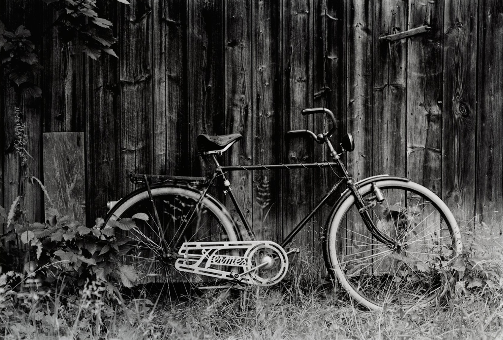 Dad's old bike