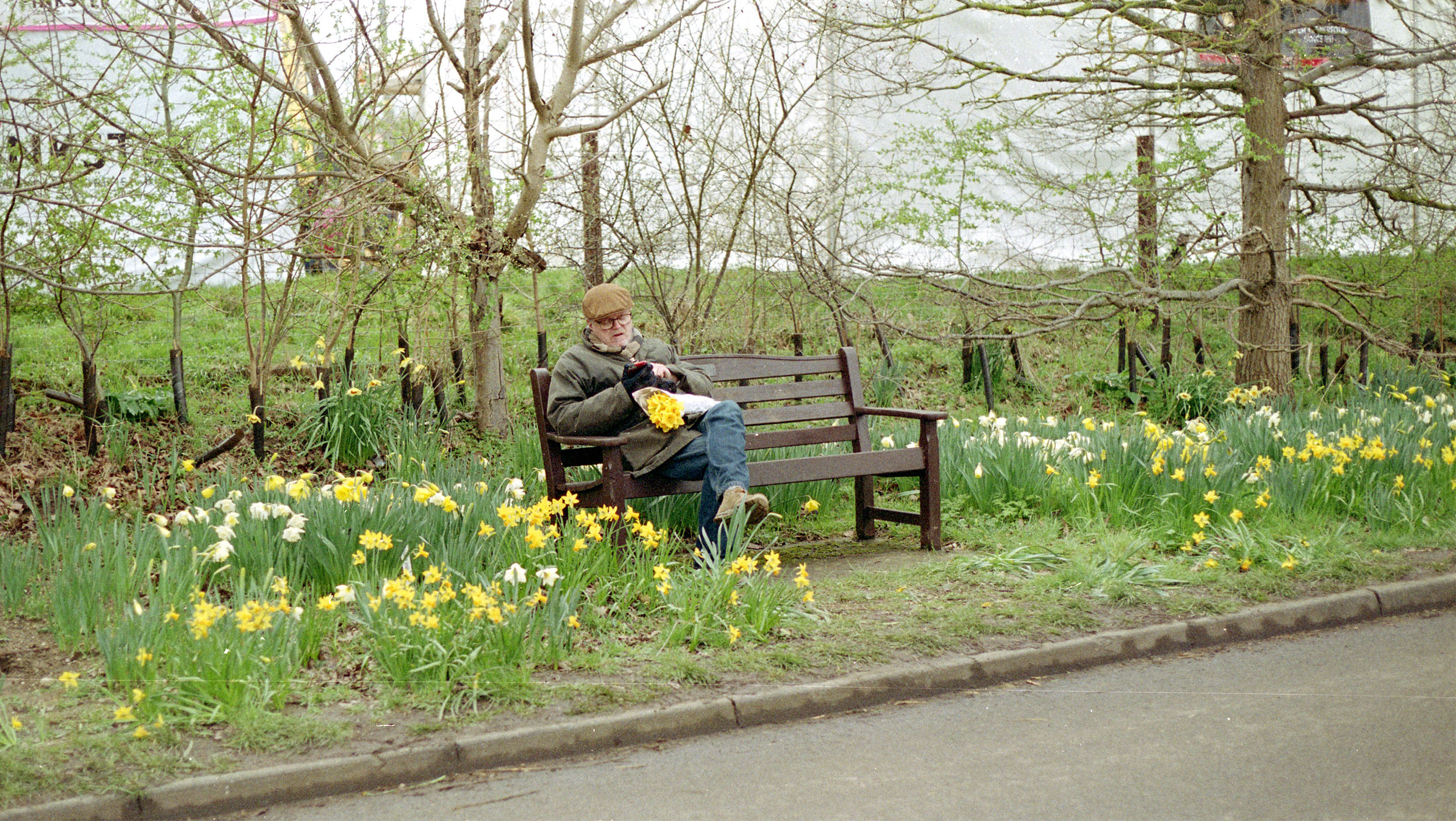 Daffodil Dozer, THRIPLOW