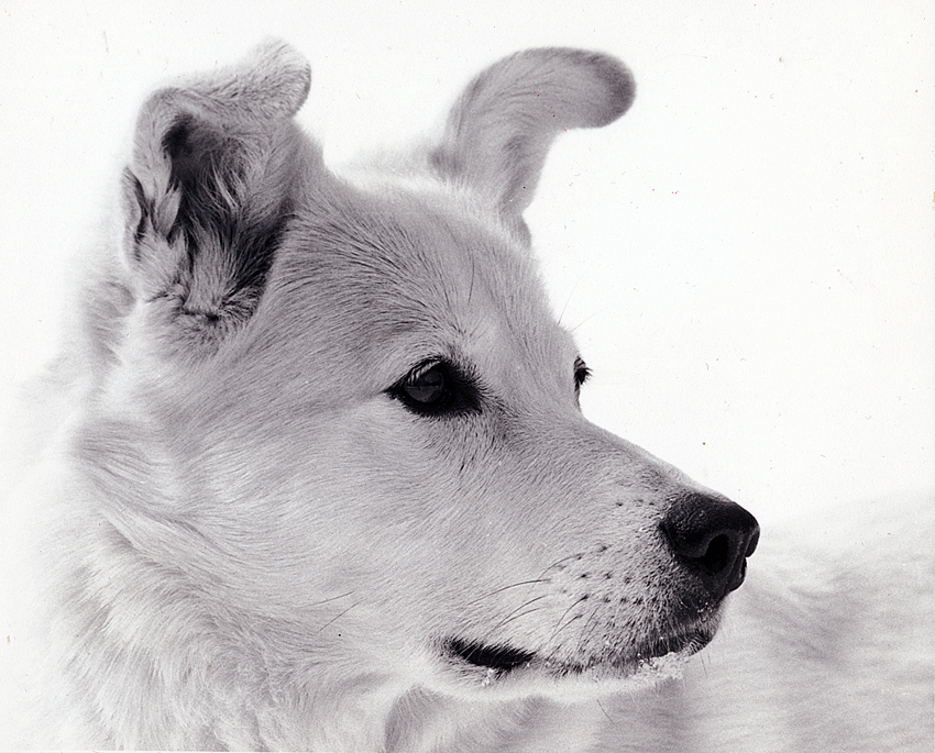 Dakota-2apug
