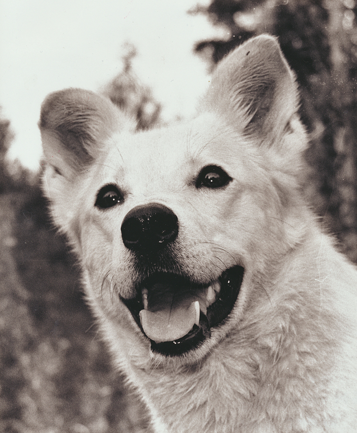 Dakota-3apug
