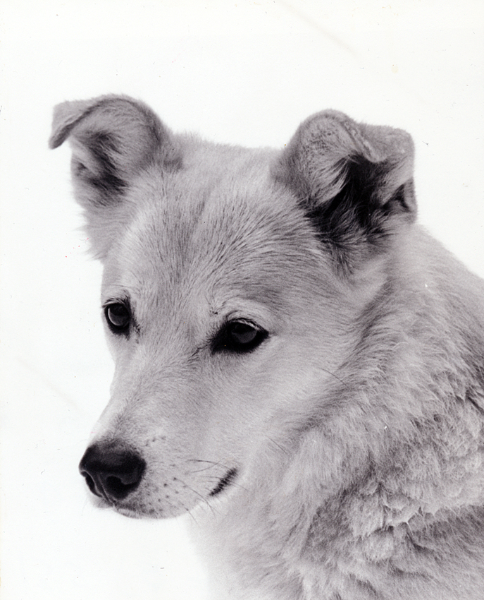 Dakota-4apug