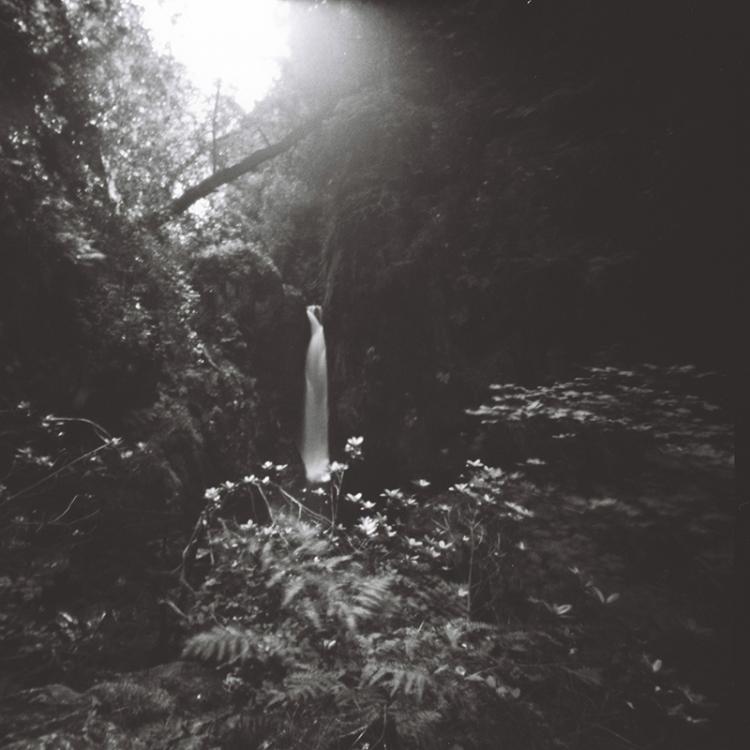 Dalegarth Force